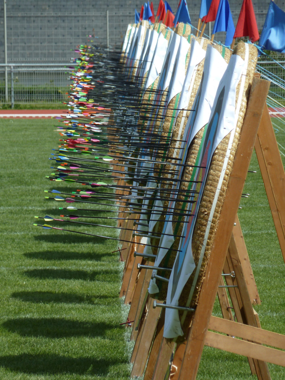 Stages TAE et Equipes