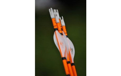 special jeune MAC 15 janvier 2022