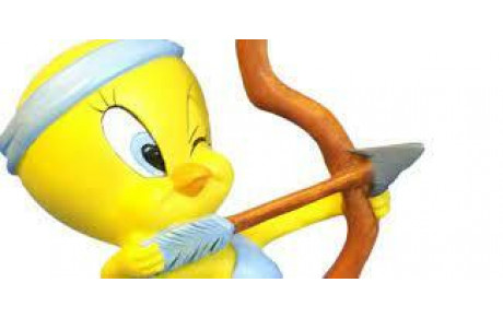 Tournoi des poussins